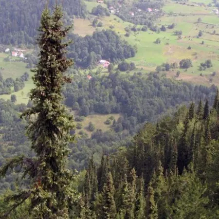 Tara Mountain House 3* Bajina Bašta