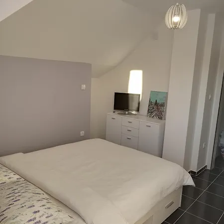 Vendégház Tara Mountain House 3*