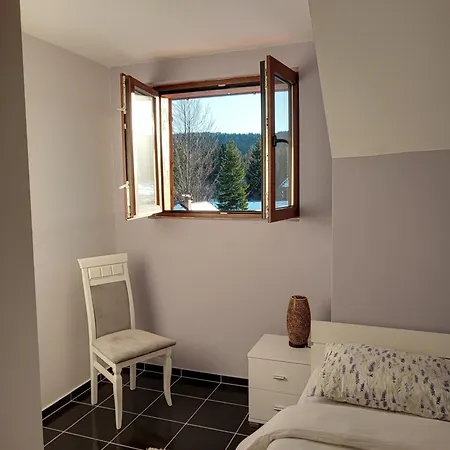 Guest house Tara Mountain House
