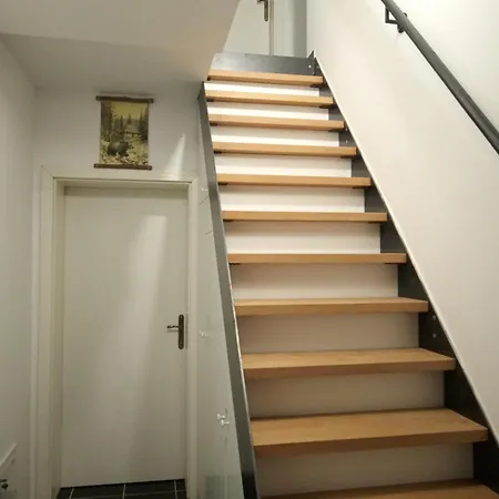 Vendégház Tara Mountain House 3*